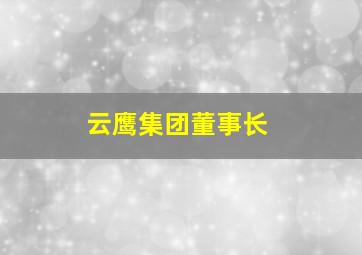 云鹰集团董事长