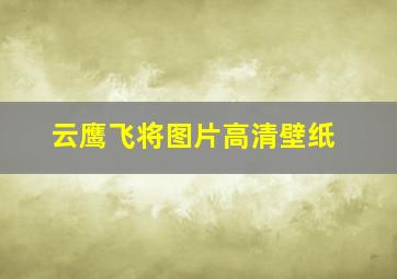 云鹰飞将图片高清壁纸