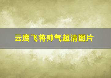 云鹰飞将帅气超清图片