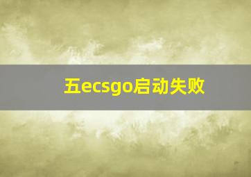 五ecsgo启动失败