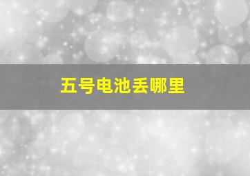 五号电池丢哪里