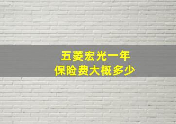 五菱宏光一年保险费大概多少