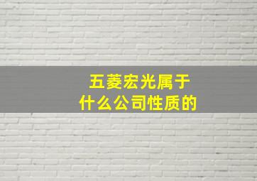 五菱宏光属于什么公司性质的