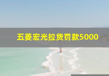 五菱宏光拉货罚款5000