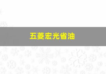 五菱宏光省油