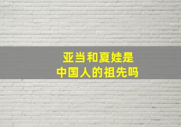 亚当和夏娃是中国人的祖先吗