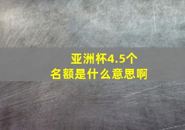 亚洲杯4.5个名额是什么意思啊