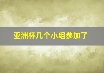 亚洲杯几个小组参加了