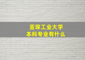 亚琛工业大学本科专业有什么