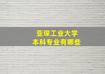 亚琛工业大学本科专业有哪些