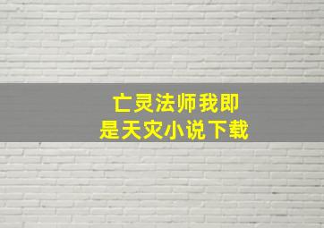 亡灵法师我即是天灾小说下载