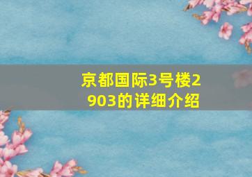 京都国际3号楼2903的详细介绍