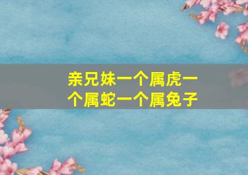 亲兄妹一个属虎一个属蛇一个属兔子