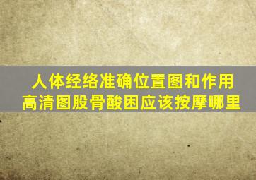 人体经络准确位置图和作用高清图股骨酸困应该按摩哪里