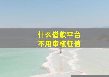 什么借款平台不用审核征信