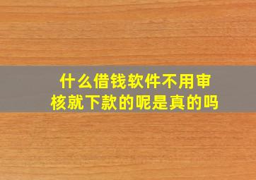 什么借钱软件不用审核就下款的呢是真的吗