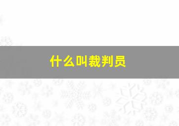 什么叫裁判员