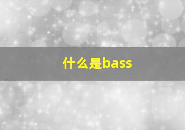 什么是bass