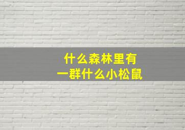 什么森林里有一群什么小松鼠