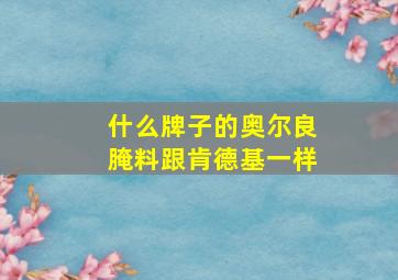 什么牌子的奥尔良腌料跟肯德基一样