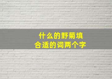 什么的野菊填合适的词两个字