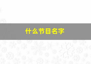 什么节目名字