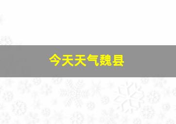 今天天气魏县