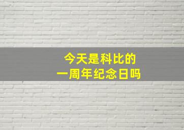 今天是科比的一周年纪念日吗