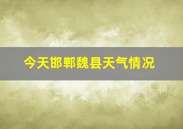 今天邯郸魏县天气情况