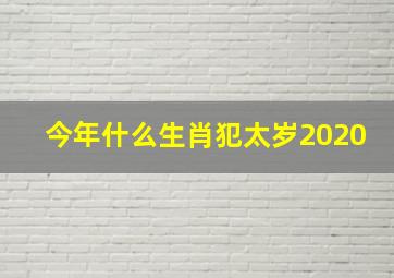 今年什么生肖犯太岁2020