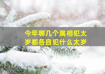 今年哪几个属相犯太岁都各自犯什么太岁