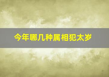 今年哪几种属相犯太岁