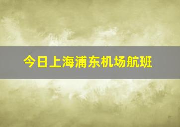 今日上海浦东机场航班