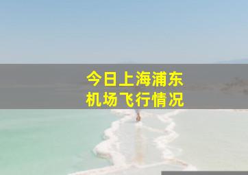 今日上海浦东机场飞行情况