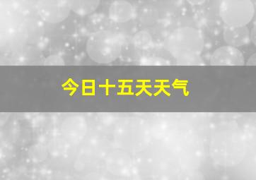 今日十五天天气