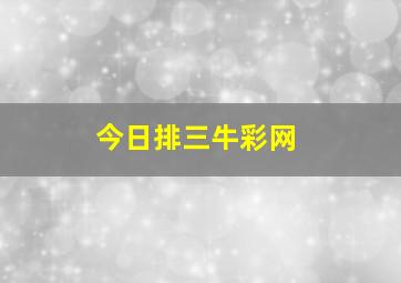 今日排三牛彩网