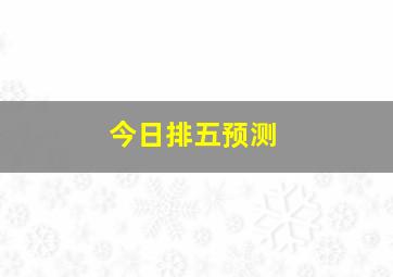 今日排五预测