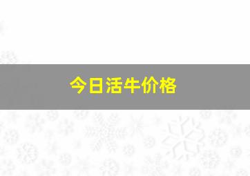 今日活牛价格