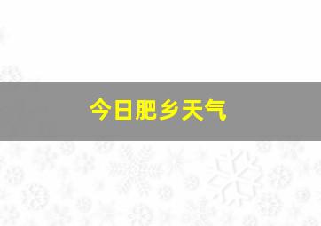 今日肥乡天气