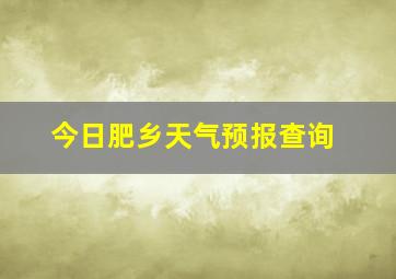 今日肥乡天气预报查询