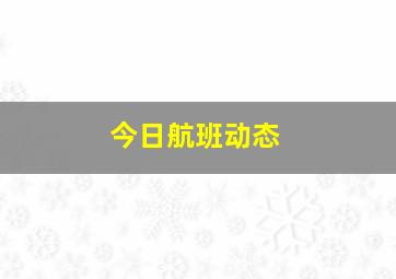 今日航班动态