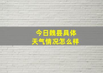 今日魏县具体天气情况怎么样