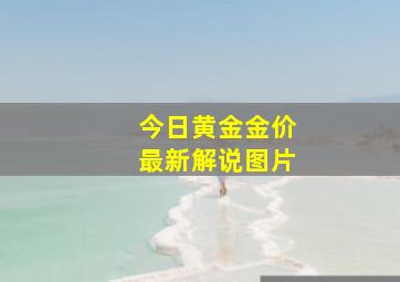 今日黄金金价最新解说图片