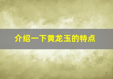 介绍一下黄龙玉的特点