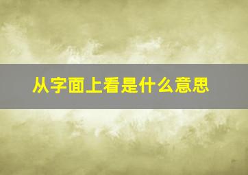 从字面上看是什么意思