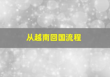 从越南回国流程