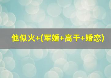 他似火+(军婚+高干+婚恋)