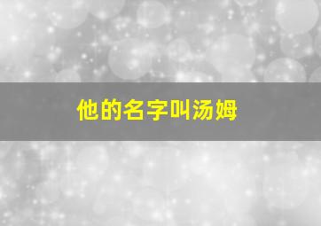 他的名字叫汤姆