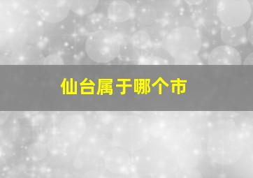 仙台属于哪个市