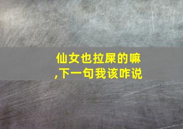 仙女也拉屎的嘛,下一句我该咋说